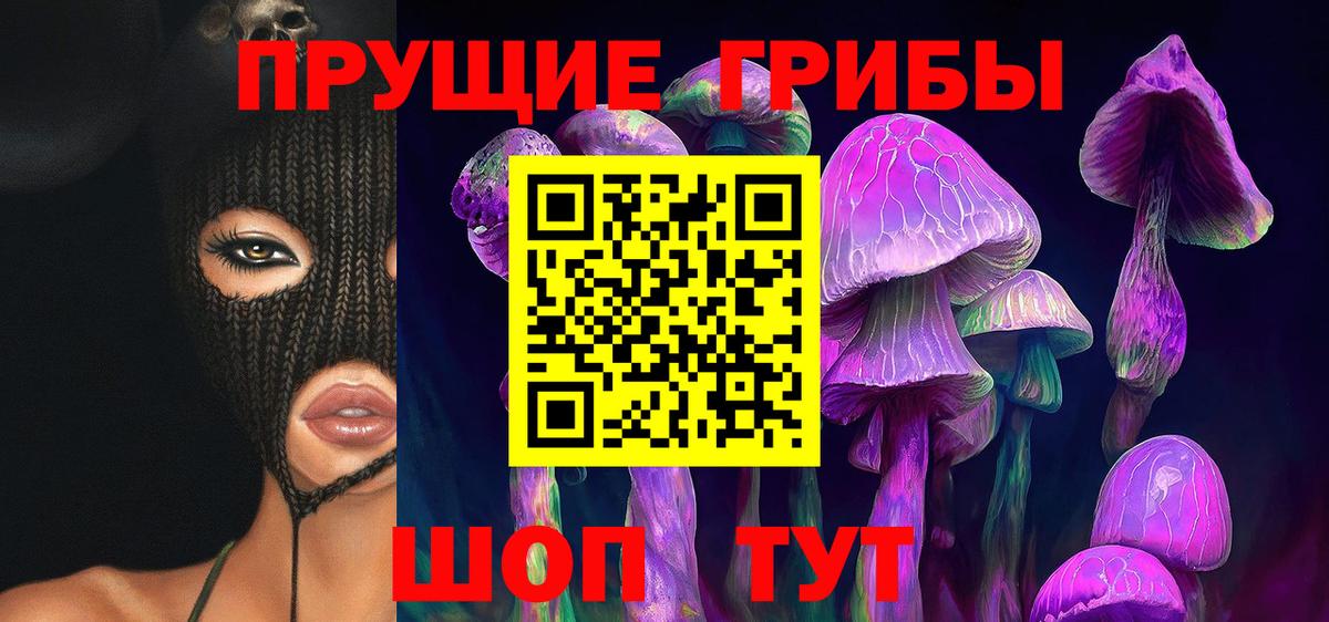 Нововоронеж  Галлюциногенные грибы Cubensis  Вход с VPN 
